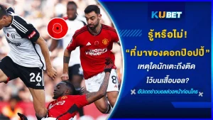 รู้หรือไม่! ที่มาของดอกป๊อปปี้ เหตุใดนักเตะถึงติดไว้บนเสื้อบอล - KUBET