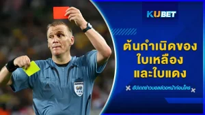 ที่มาของใบเหลืองใบแดง - KUBET